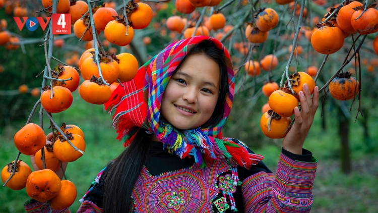 T'RUIH PA XƯL P'RA CƠ TU THỨ 7 T'NGAY 31/01/2026