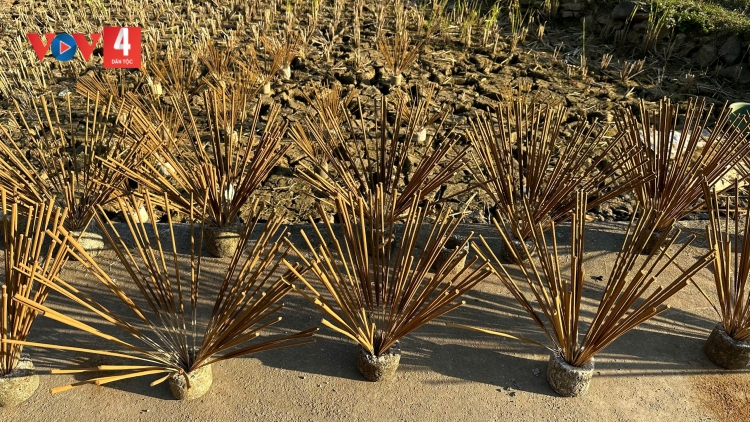 CHƯỚNG CHẮP BẢN HẾT HƯƠNG PÁC PI DÚ PHJA THẮP