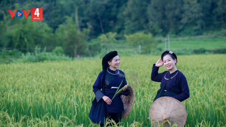 CHƯƠNG TRÌNH KHAY HENG TÀY- NÙNG (Thứ Năm, vằn 12 bươn 2 pi 2026)