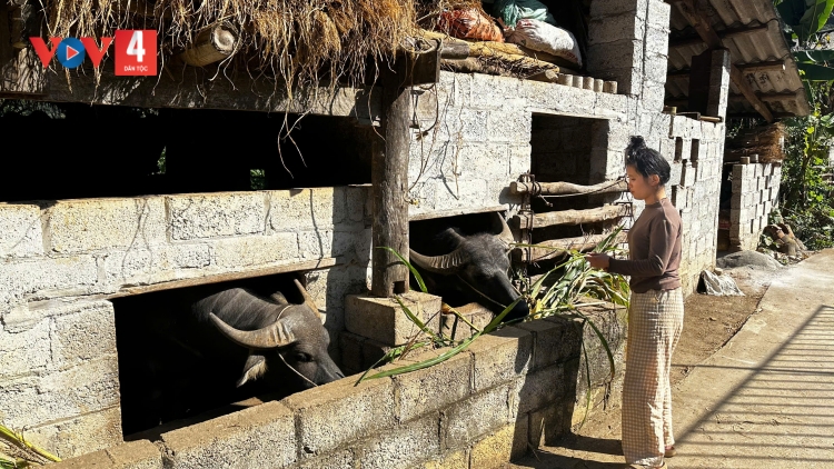 BẠI PẢN FÁP TẢNG LÀN DÊN DÁC HẨƯ TUA CÚA LIỆNG CHANG BẠI VẰN FẠ DÊN TÓT