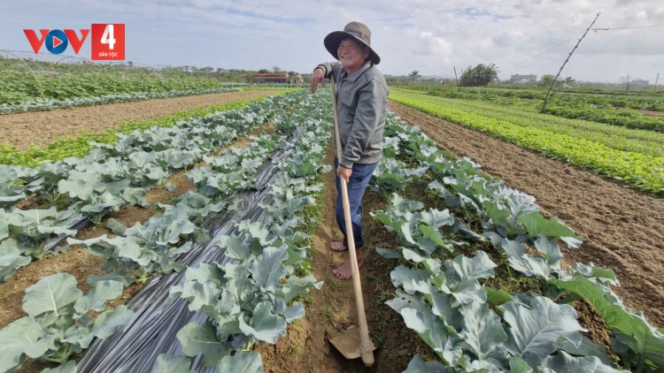ĐHANUÔR ZR’LỤ TRUIH THÀNH PHỐ ĐÀ NẴNG TRƠ VÂNG LÂNG BH’RỢ CHOH RƠ VEH TẾT