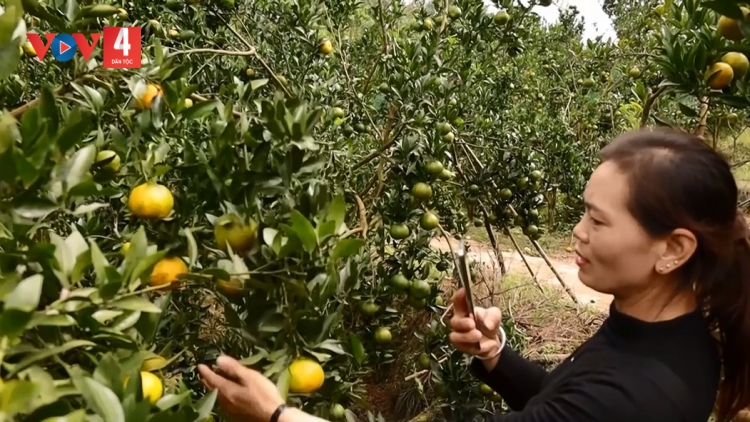 TỨ TỀNH RẨY THÂNG TỀNH TÀNG MẠNG