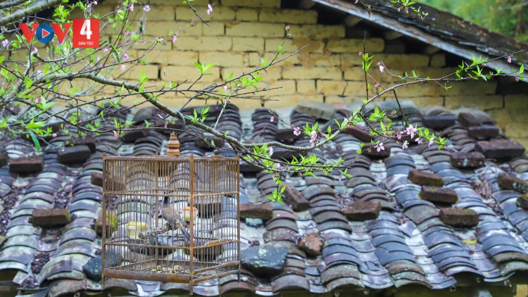 CHƯƠNG TRÌNH KHAY HENG TÀY - NÙNG (Thứ 5, vằn xo 5 bươn 2 pi 2026)