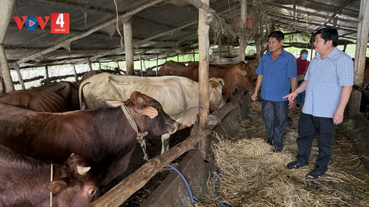 CR’NOỌ BH’RỢ BĂN T’RỊ, K’ROỌC T’VAIH C’LÂNG BHRỢ  ....