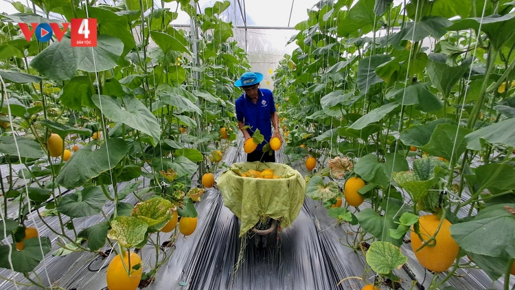 និទាឃរដូវសណ្ឋិតមកលើស្រុកភូមិប្តូរថ្មី