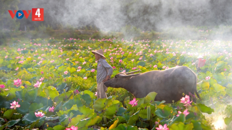 QUẢNG NAM - ĐÀ NĂNG ZR’NƯM MƯY PR’HAT XA NƯL