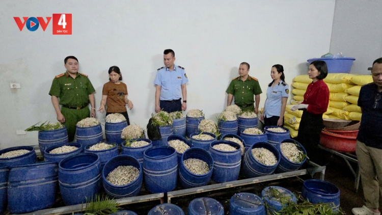 QUẢNG NINH FẠT NẮC BẠI PÀY HẾT XÁ, PAO ỎN AN MỪA CÚA KIN