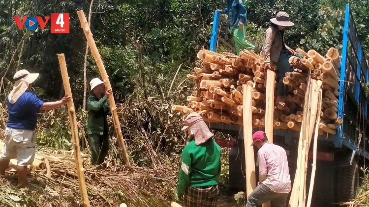 ĐHA ĐHÂM C’MOR ZR’LỤ DA DING CA COONG ĐÀ NẴNG PA ZƯM T’VAIH C’BHUH BHRỢ TÊNG