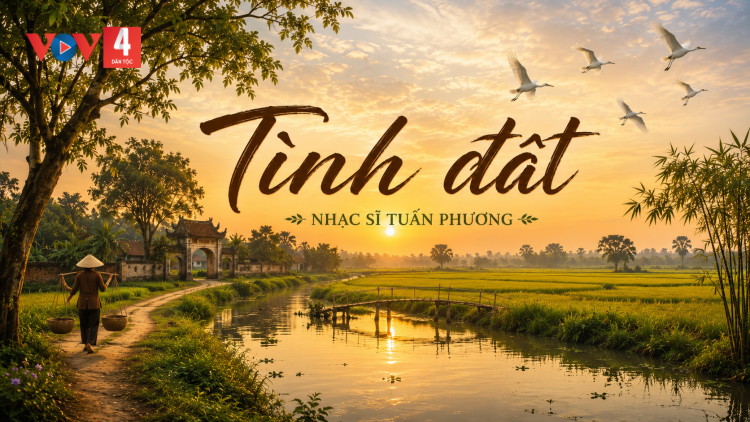 TÌNH ĐẤT 