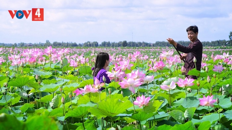 ĐỜN CA TÀI TỬ NAM BỘ