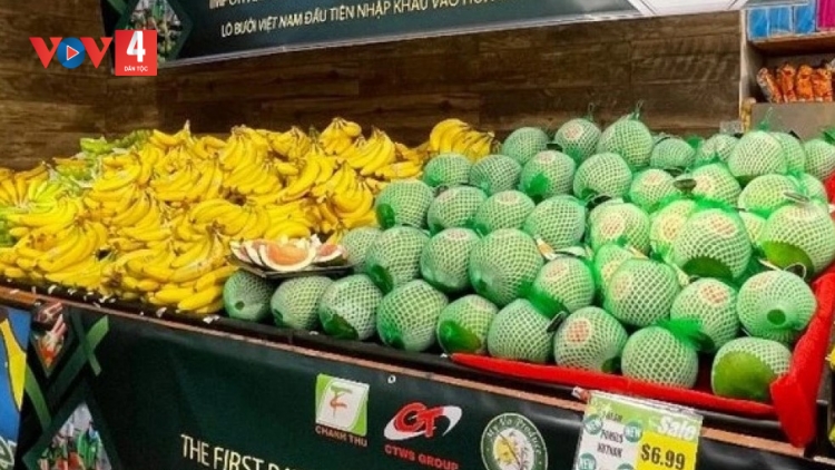 XANG 5 C’XÊÊ, BHIỆC PA CÂL BHƠI R’VEH P’LÊÊ P’COO OOY K’TIÊC K’RUUNG LƠƠNG BƠƠN K’NOỌ 3 TỶ ĐÔ LA MỸ