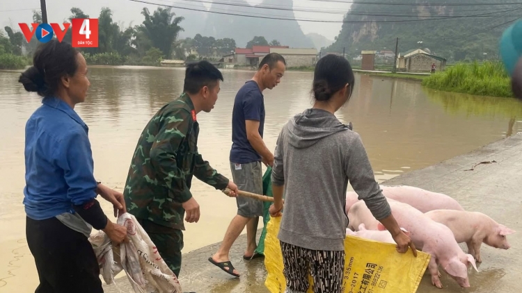 Cao Bằng chủ động ứng phó mưa lũ, bảo đảm an toàn cho người dân