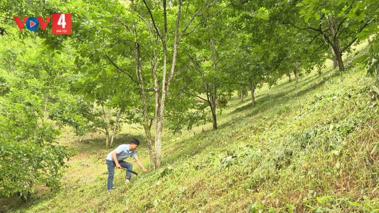 ĐHANUÔR PA DƯR CA VAN COH ZR’LỤ K’TIẾC K’ĐHAP ZR’NĂH 