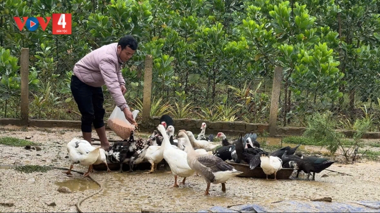 T’VAIH C’LÂNG Z’LÂH ĐHA RỰT TƠỢ RAU ZOOI ĐOỌNG ĐHỊ DA DING CA COONG