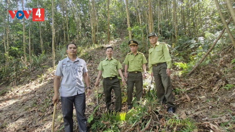 Siết chặt kỷ luật phòng cháy chữa cháy rừng trong cao điểm nắng nóng