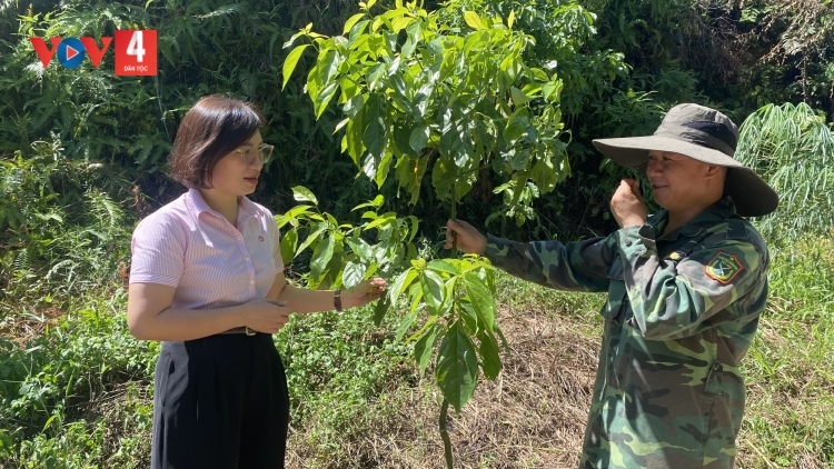 Đồng vốn chính sách trên những triền đồi Phú Thọ (Kỳ 3): Gắn dòng vốn với lợi thế từng vùng đất