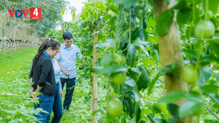 HA RÊÊ ĐHUÔCH CÔNG NGHỆ DAL ĐẮK LẮK ....