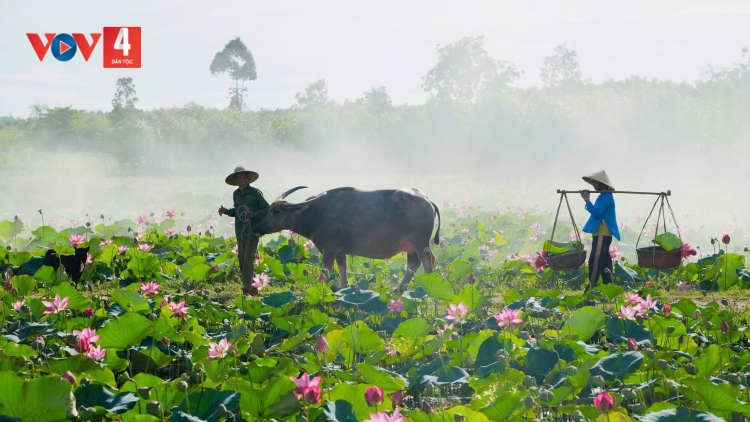 CHOH SEN PA ZƯM LÂNG BHRỢ DU LỊCH T’VAIH BH’RỢ ĐOỌNG HA ĐHANUÔR