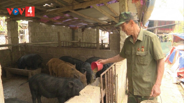 CẦN THƯƠNG BINH TẢY NẢI HẾT KIN ĐÂY DÚ BÚNG ĐIN ĐÈO GIÓ