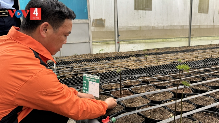 TỐI MẤƯ CHANG TÀNG DƯỞNG ĐĂM CHAY, HẾT PỀN BẠI CÚA KHAI TẢY CHÈN