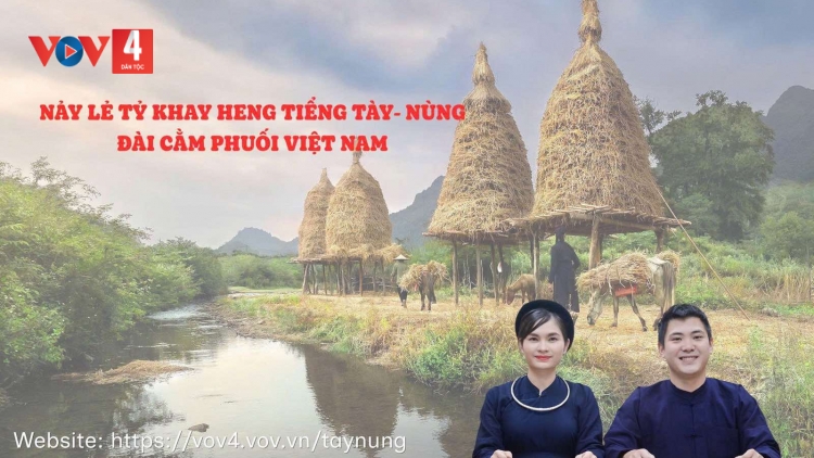 FẤN TIN VẰN 25 BƯƠN 8 PI 2026 