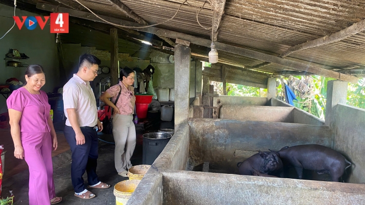Tín dụng chính sách tiếp sức đồng bào miền núi phát triển 