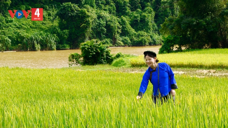 CHƯƠNG TRÌNH KHAY HENG TÀY - NÙNG (Thứ 3, vằn 25 bươn 8 pi 2026)