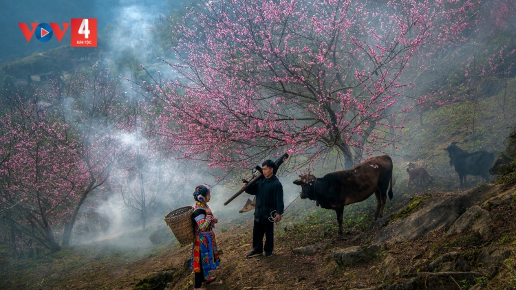 DÂN CA MÔNG