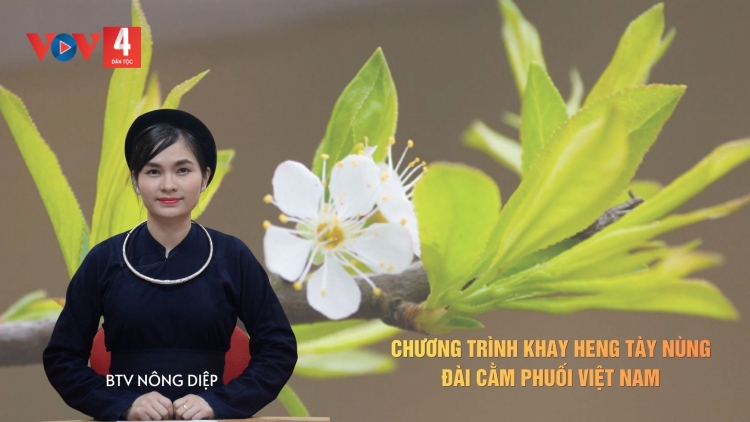CHƯƠNG TRÌNH KHAY HENG TÀY - NÙNG (Thứ Hai, vằn xo 10/8/2026)