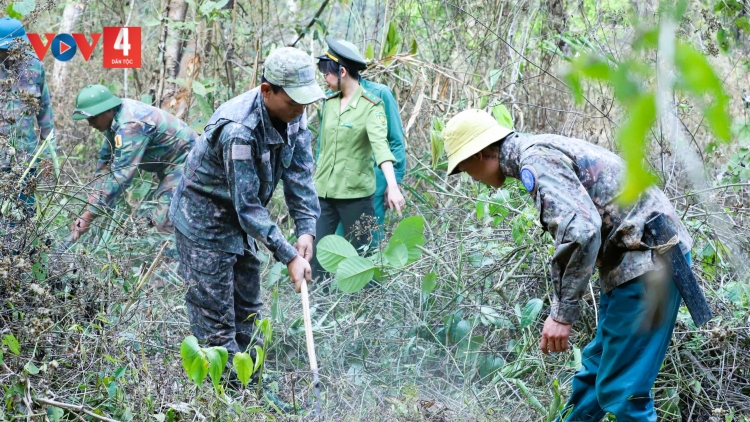 Tiền dịch vụ môi trường rừng: Thêm nguồn lực cho người dân