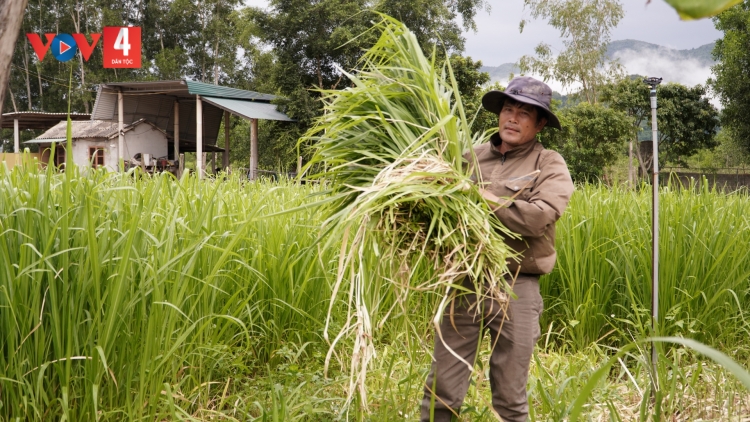 PR’ĐƠỢ “TAM NÔNG” PA TÊỆT C’RƠ ĐOỌNG HA ĐHANUÔR DA DING CA COONG QUẢNG TRỊ PA DƯR CA VAN