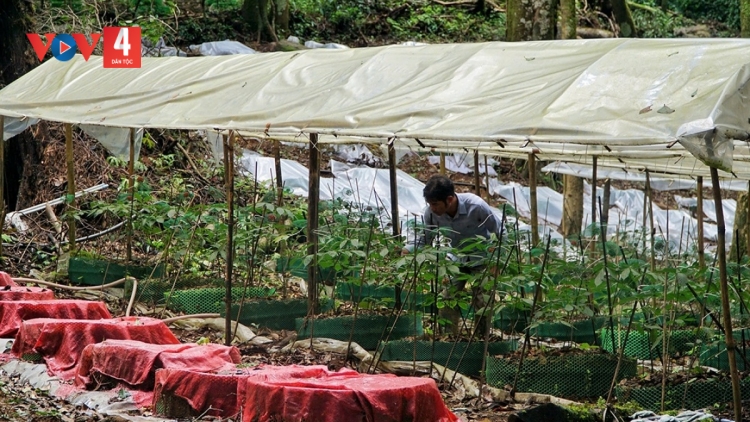 QUẢNG NGÃI: ZOOI ĐHANUÔR ACOON COH DA DING K’COONG T’BIL LƠI ĐHARỰT NHÂM MÂNG