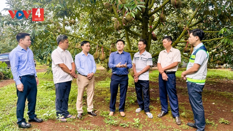 Trung tâm Khuyến nông Quốc gia hỗ trợ mã số vùng trồng để xuất khẩu nông sản