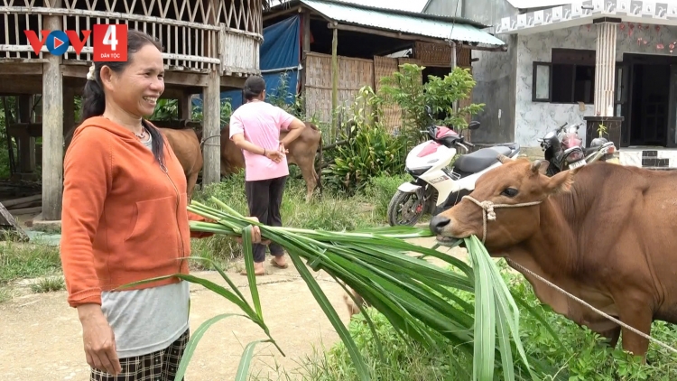 SÔNG KÔN: 57 P’NONG K’ROỌC ĐOỌNG HA 19 PR’LOỌNG ĐHANUÔR A PĂNG LÂNG BHLÔ BỀN