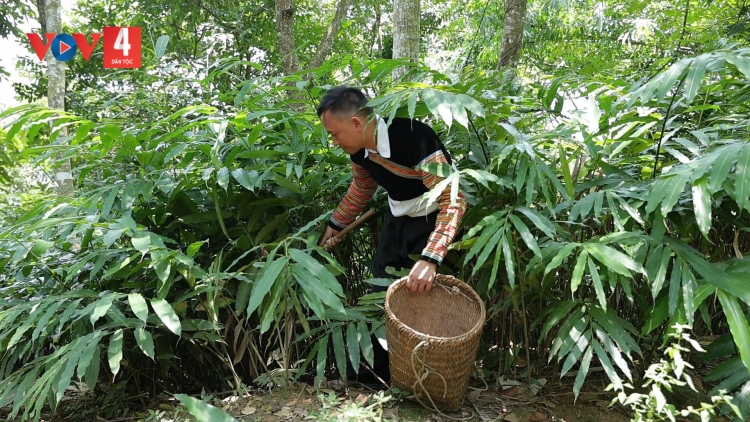 CHAY CO MÁC NẺNG CẮM PANG HẨƯ PỈ NOỌNG DÚ BÚNG KHAU PÙ TRẠM TẤU NẮM NHẰNG KHỎ