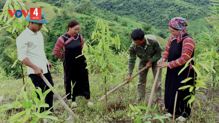 Đồng bào La Hủ tạo sinh kế bền vững từ rừng