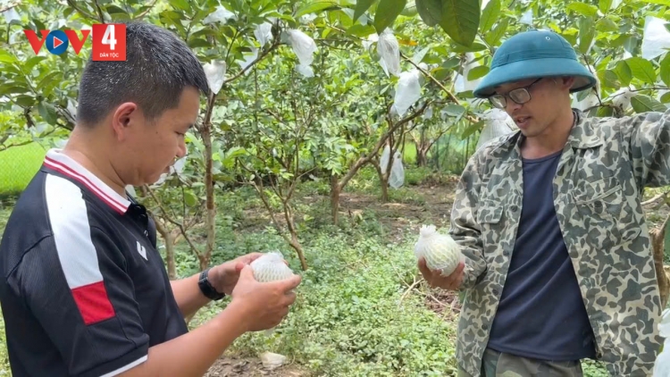 CAO BẰNG: PANG HẨƯ MÁC ỘI QUẢNG HƯNG KHAI TẢY CHÈN
