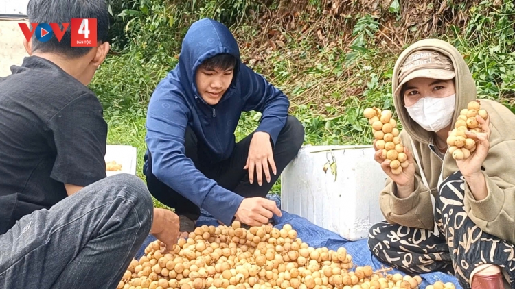 ĐHANUÔR DA DING CA COONG ĐÀ NẴNG PA XOỌNG THU NHẬP TƠỢ TƠƠM T’BOON