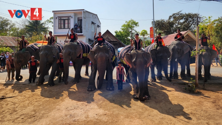 Người M'nông cúng sức khỏe cho voi