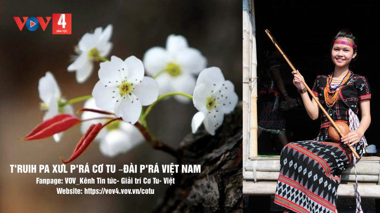 T'RUIH PA XƯL P'RA CƠ TU THỨ 7 T'NGAY 17/10/2026