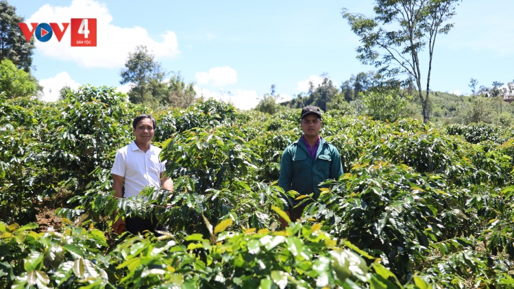 QUẢNG NGÃI PA DƯR NHÂM MÂNG TƠƠM CÀ PHÊ