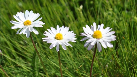 T'RUIH T'NGAY 29/10/2022