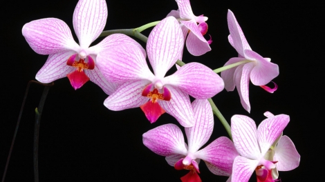 T'RUIH T'NGAY 31/10/2022