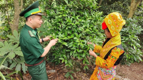 Ling tơhan pơgang guai dêh čar djru mơnuih kual guai lŏn ia pơđĭ kyar bơwih ƀong