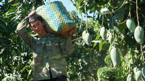 Dak Nông gĭr ba mnơ̆ng dhơ̆ng lŏ hma hlăm anôk ba čhĭ điện tử