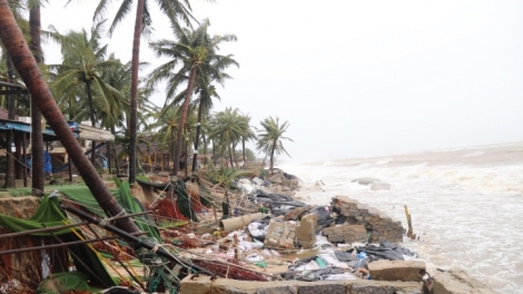 Bình Định zooi 6 tỉnh, thành 3,5 tỷ đồng pa liêm rau boo đhí tuh bhlong đơc lơi