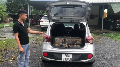 Quảng Trị: Coọp k’đhơợng ôtô âng đơơng 66 p’nong xong cr’đêê cắh liêm ghít tơợ ooy 