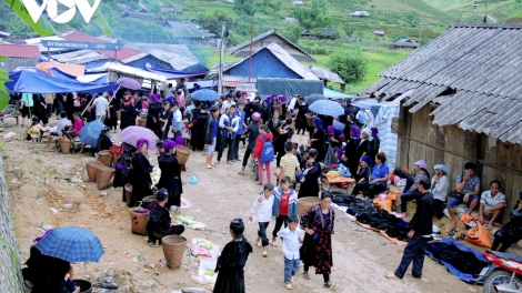 Xuống chợ mùa yêu