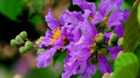 T'RUIH T'NGAY 27/10/2022