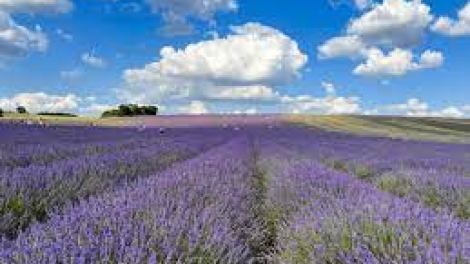 T'RUIH T'NGAY 28/10/2022